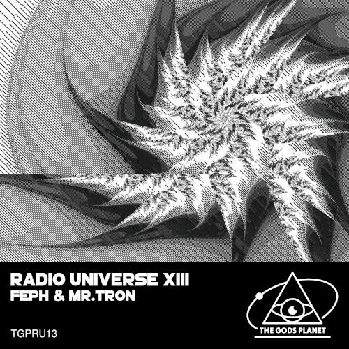 Radio Universe XIII