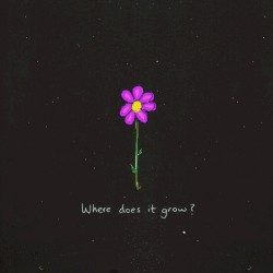 Where does it grow?