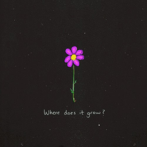 Where does it grow?