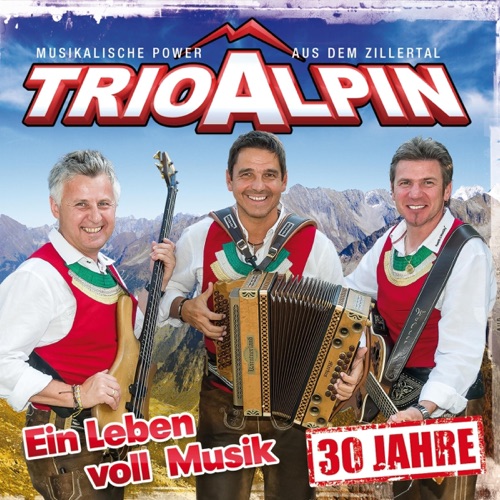 Ein Leben voll Musik - 30 Jahre
