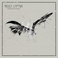 Strings & Feathers