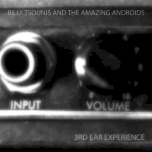 Input Volume