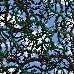 Algorithm’s End