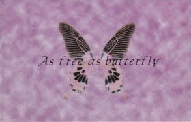 As free as butterfly