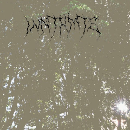 WNTRMTE