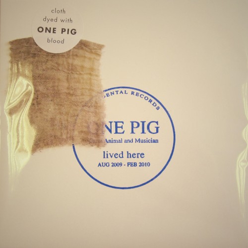 One Pig: A Life In 3 Minutes