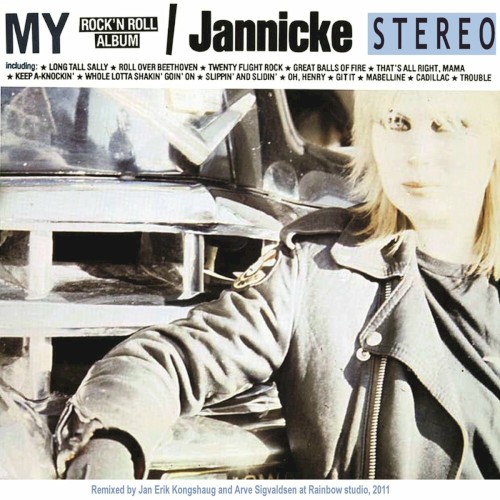My Rock'n Roll Album