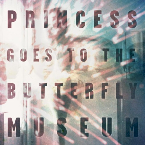 Princess Goes to the Butterfly Museum