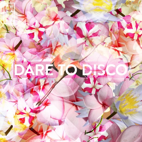 Dare to Disco