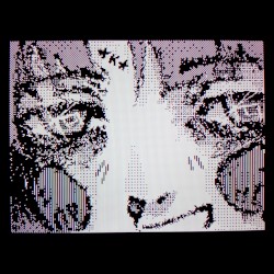 cyberia