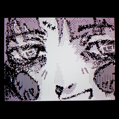 cyberia