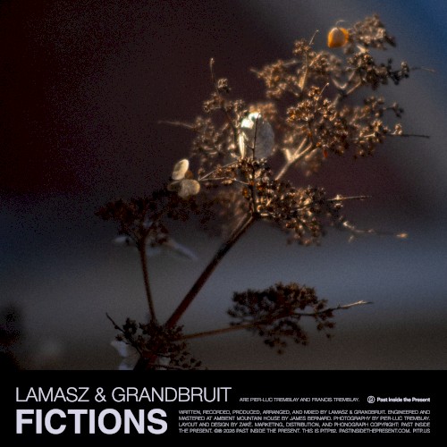 Fictions