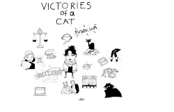 Victories of a Cat