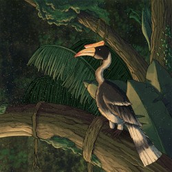 Roosting