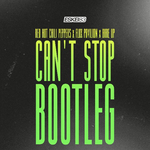 Can't Stop (Eskei83 DnB bootleg)