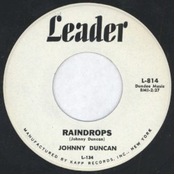 Raindrops
