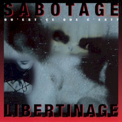 Libertinage