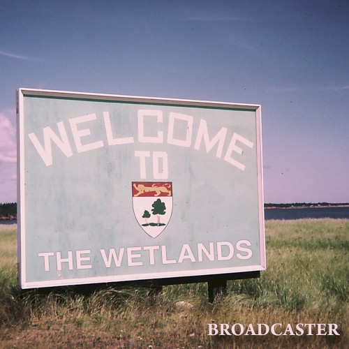 Welcome to the Wetlands
