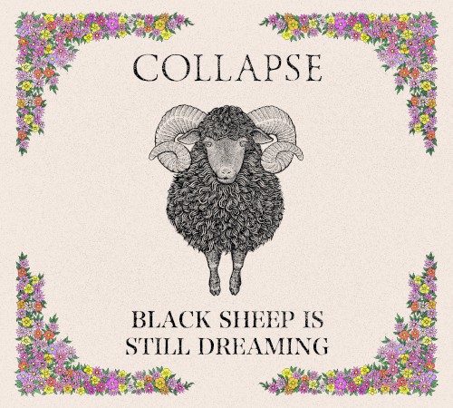 BLACK SHEEP IS STILL DREAMING