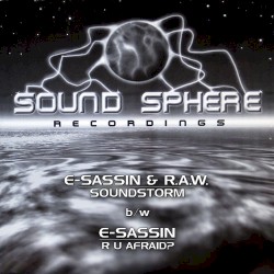 Soundstorm / R U Afraid?