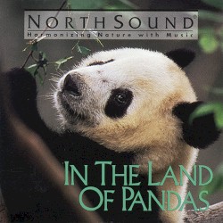 In The Land of Pandas