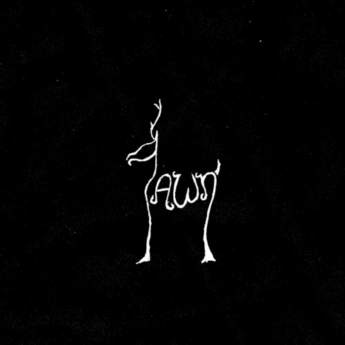 Fawn