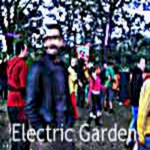 Electric Garden