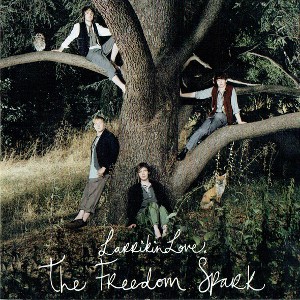 The Freedom Spark