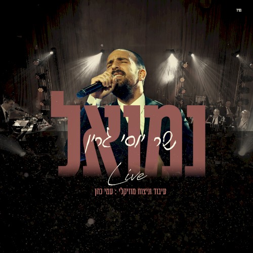 שר יוסי גרין