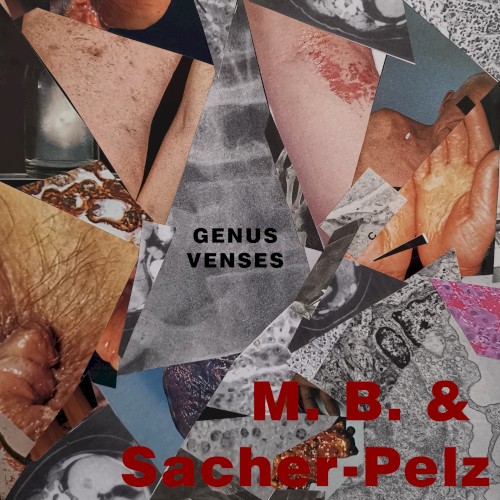 Genus Venses