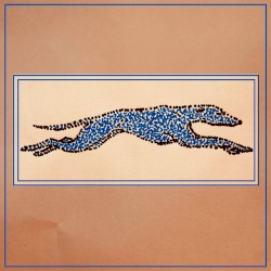 Greyhounds