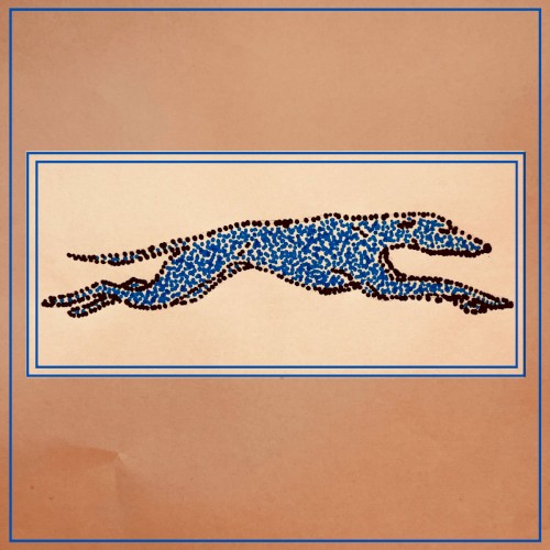 Greyhounds