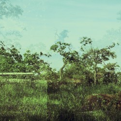 geographic beings, phosphorus mountains