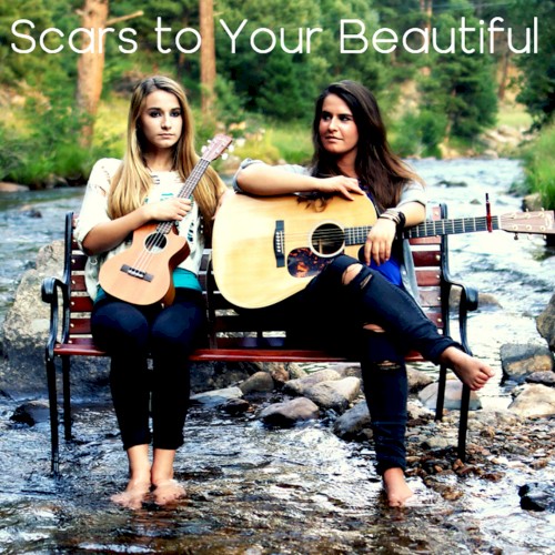 Scars to Your Beautiful