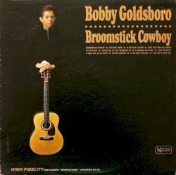 Broomstick Cowboy