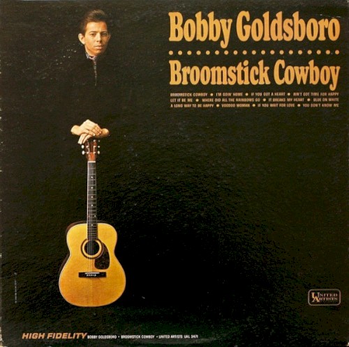Broomstick Cowboy