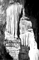 Stalattite
