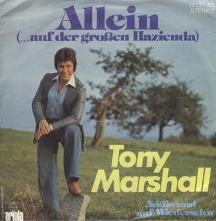 Allein (… auf der großen Hazienda)