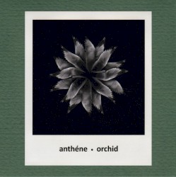 Orchid