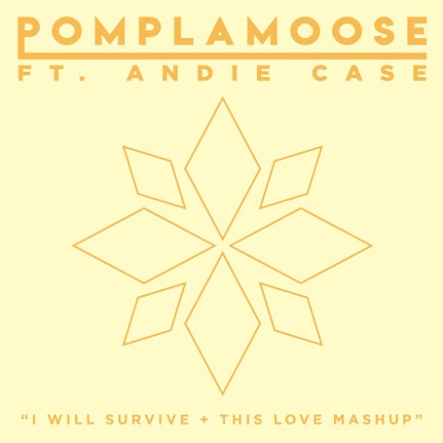I Will Survive + This Love Mashup