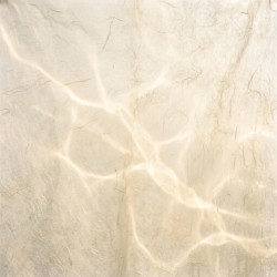 ambient kyoto 0052