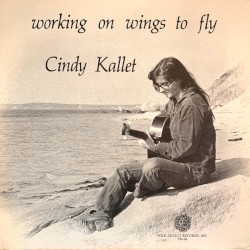Working on Wings to Fly