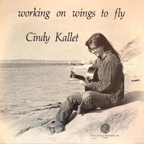 Working on Wings to Fly