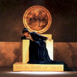 The Memory of Trees