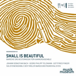 Small Is Beautiful