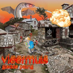 vleermuis