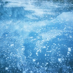 The Frigid Cold