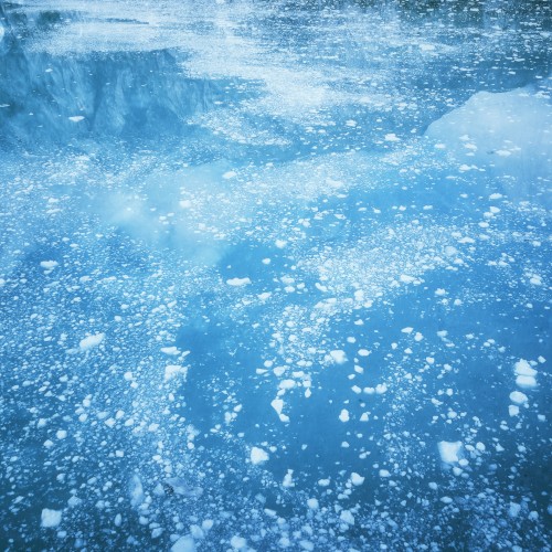 The Frigid Cold