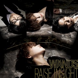 RAISE INSIGHT