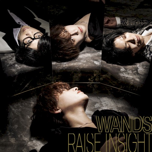 RAISE INSIGHT